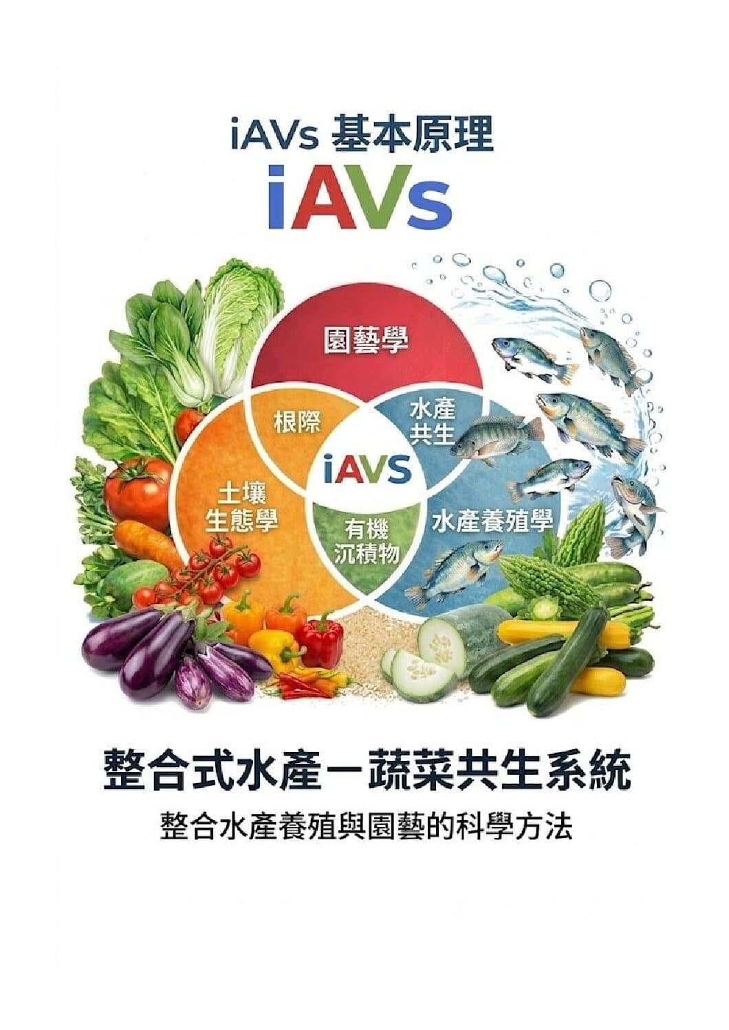 We Are Translating the iAVs Manual – And We Need Your Voice